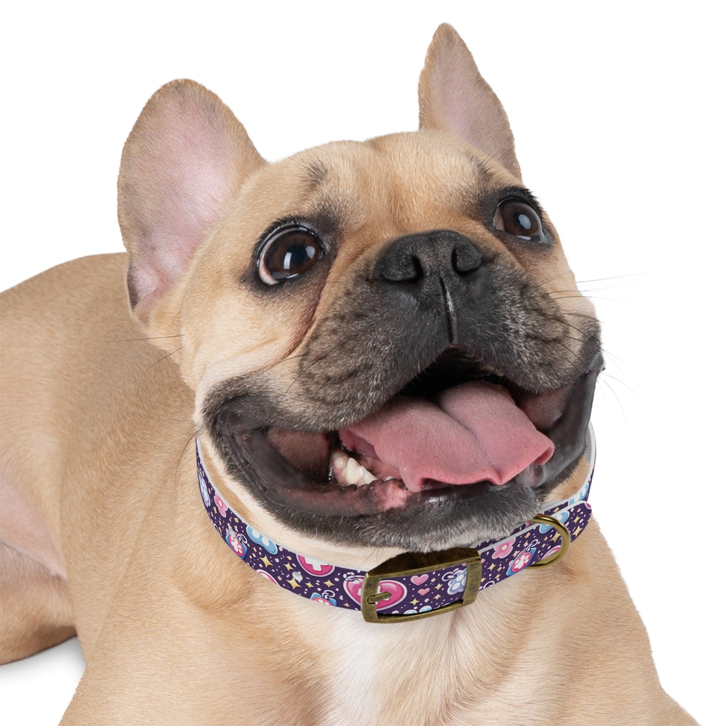 Dog Collar — Cute Paw & Heart Patterned Pet Collar (Pink and Purple)