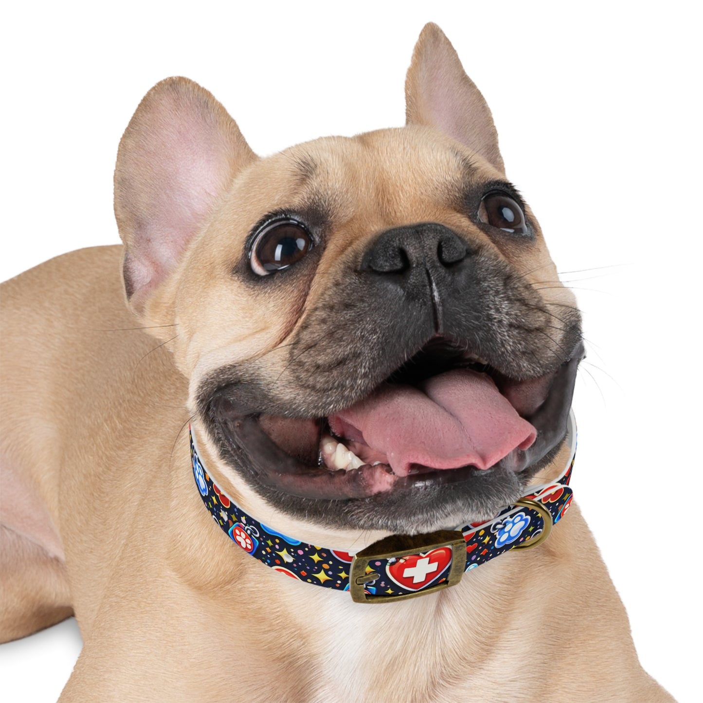 Dog Collar — Cute Paw & Heart Patterned Pet Collar (Red and Blue)