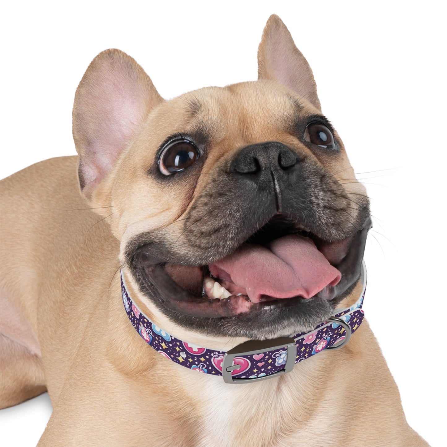 Dog Collar — Cute Paw & Heart Patterned Pet Collar (Pink and Purple)